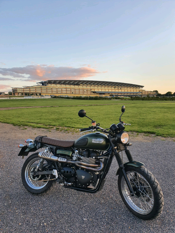 triumph scrambler gumtree